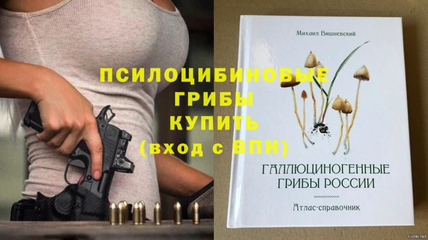 герыч Горнозаводск