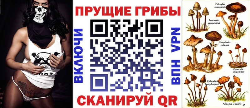 Псилоцибиновые грибы прущие грибы  Новошахтинск 